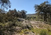 Xalet independent amb terreny en venda a la España, Queretes, ref.: TR318718 foto