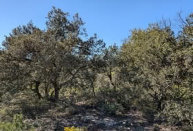 Foto 12