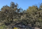 Xalet independent amb terreny en venda a la España, Queretes, ref.: TR318718 foto