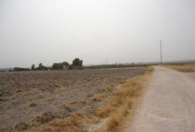 Osuna 1898400&nbsp;м²