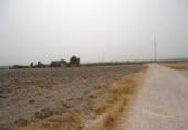 Terreny no urbanitzable en venda a la España, Osuna, ref.: TR113785 foto