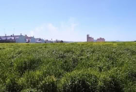 Osuna 1898400&nbsp;м²