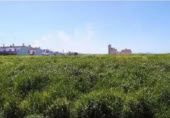 Terreny no urbanitzable en venda a la España, Osuna, ref.: TR113785 foto