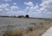 Terreny no urbanitzable en venda a la España, Osuna, ref.: TR113785 foto