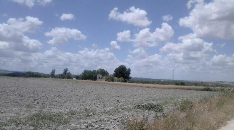Seville - Osuna - 1898400m2