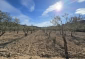 Terreny no urbanitzable en venda a la España, el Fondó de les Neus, ref.: TR218664 foto