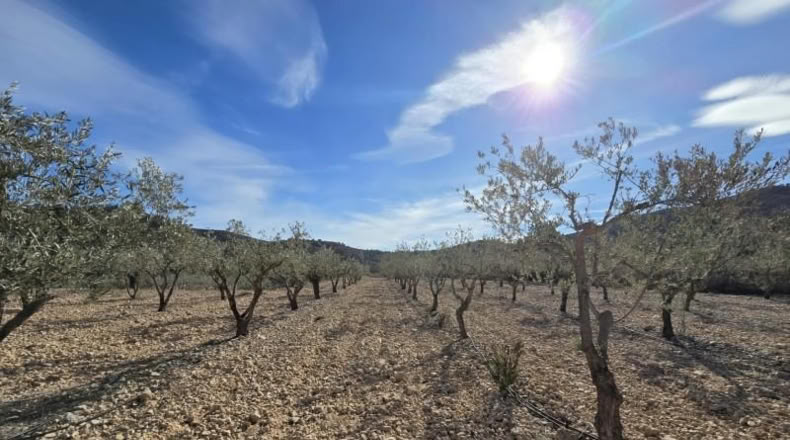Alicante - Hondón de las Nieves - 7m2