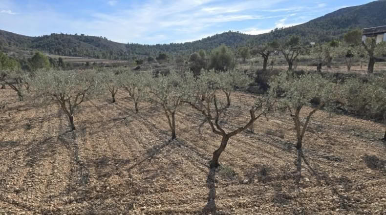 Alicante - Hondón de las Nieves - 7m2