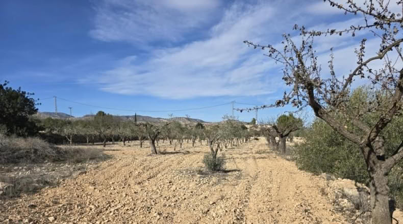 Alicante - Hondón de las Nieves - 7m2