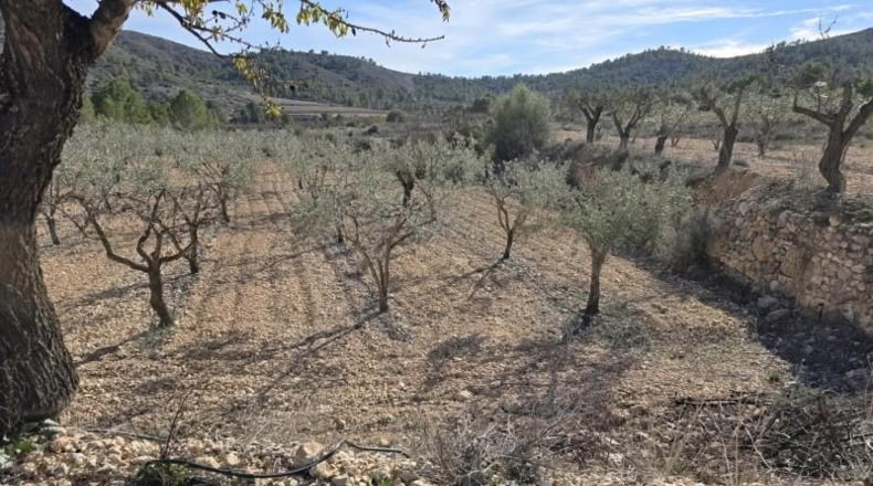 Alicante - Hondón de las Nieves - 7m2
