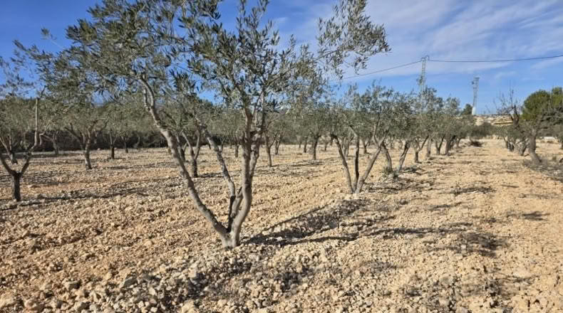 Alicante - Hondón de las Nieves - 7m2