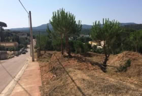 Foto 8