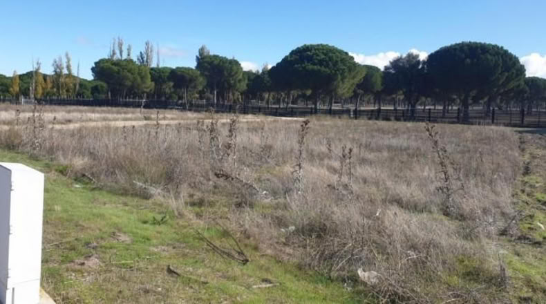 Valladolid - Aldeamayor de San Martín - 1219m2