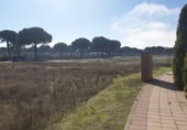 Parcela urbanizable en venta en la España, Aldeamayor de San Martín, ref: TR117172 foto