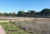 Parcela urbanizable en venta en la España, Aldeamayor de San Martín, ref: TR117172 foto