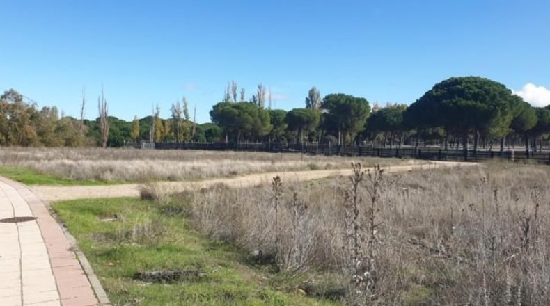 Valladolid - Aldeamayor de San Martín - 1219m2