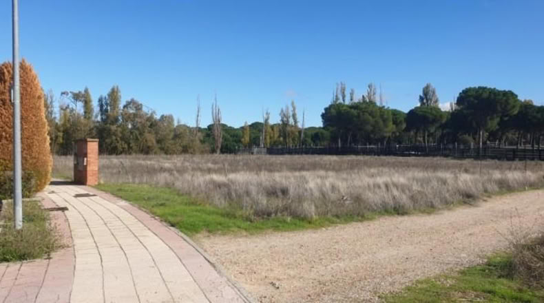 Valladolid - Aldeamayor de San Martín - 1219m2