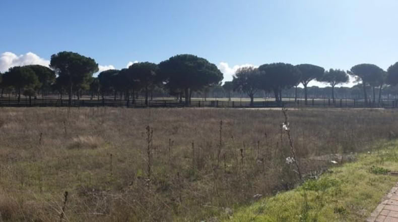 Valladolid - Aldeamayor de San Martín - 1219m2
