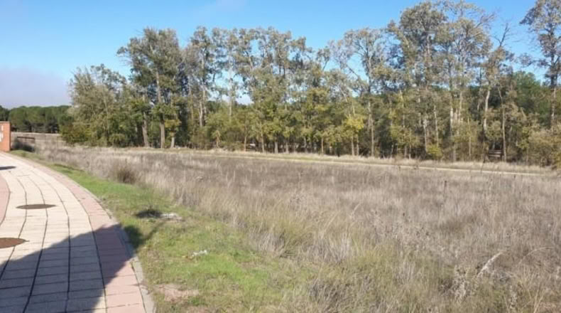 Valladolid - Aldeamayor de San Martín - 1219m2