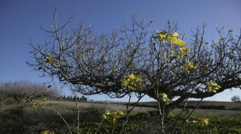 Cádiz - Chiclana de la Frontera - 2484m2
