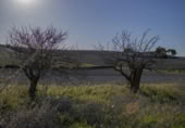 Terreny no urbanitzable en venda a la España, Chiclana de la Frontera, ref.: TR376944 foto