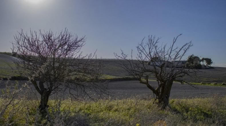 Cádiz - Chiclana de la Frontera - 2484m2