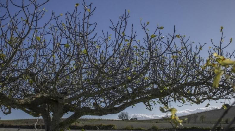 Cádiz - Chiclana de la Frontera - 2484m2