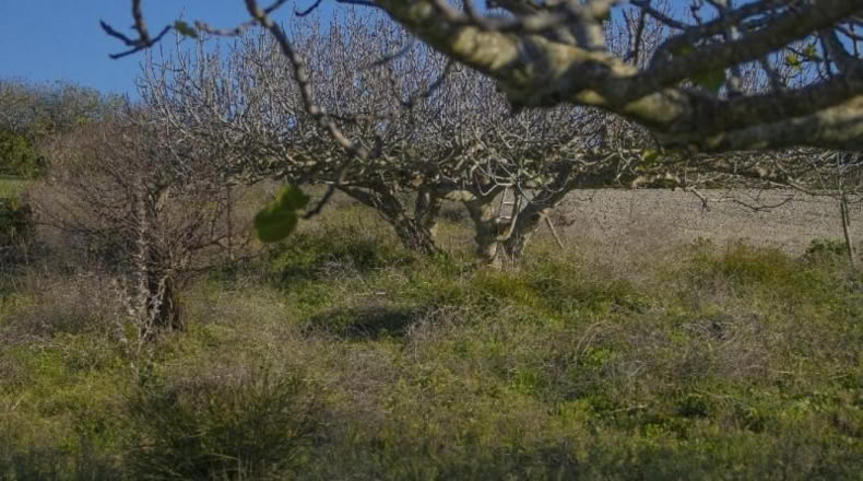 Cádiz - Chiclana de la Frontera - 2484m2