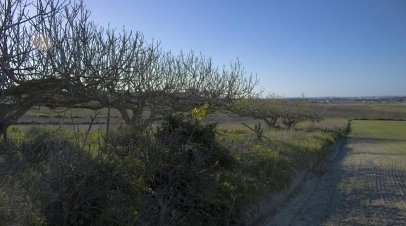 Cádiz - Chiclana de la Frontera - 2484m2