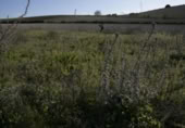 Terreny no urbanitzable en venda a la España, Chiclana de la Frontera, ref.: TR369728 foto