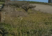 Terreny no urbanitzable en venda a la España, Chiclana de la Frontera, ref.: TR369728 foto