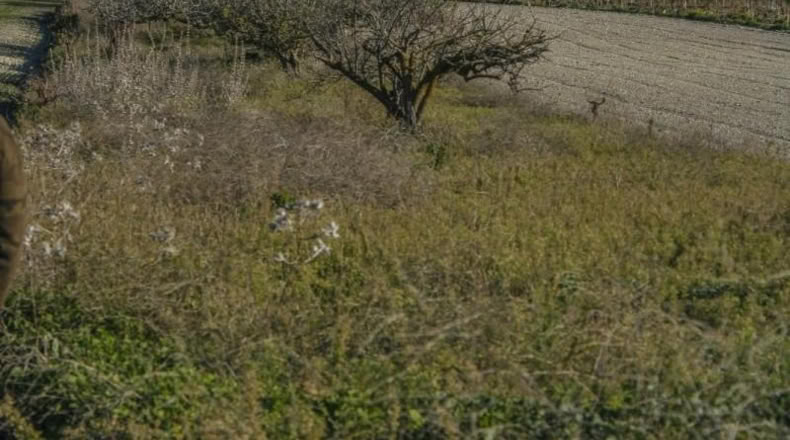 Cádiz - Chiclana de la Frontera - 2484m2
