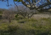 Terreny no urbanitzable en venda a la España, Chiclana de la Frontera, ref.: TR369728 foto