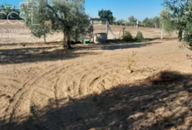 Almonte 15000&nbsp;m²