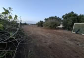 Terreny no urbanitzable en venda a la España, Chiclana de la Frontera, ref.: TR361424 foto