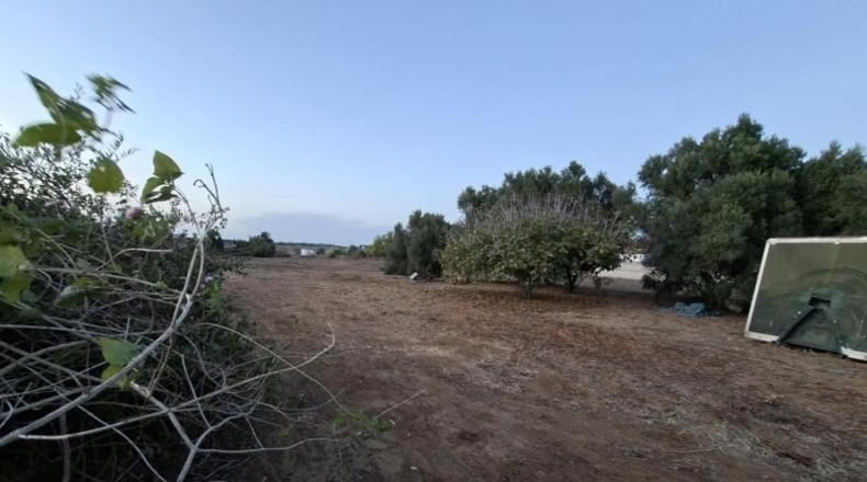 Cádiz - Chiclana de la Frontera - 1700m2