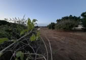 Terreny no urbanitzable en venda a la España, Chiclana de la Frontera, ref.: TR361424 foto