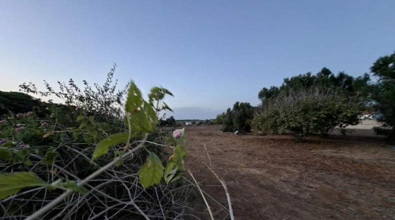 Cádiz - Chiclana de la Frontera - 1700m2