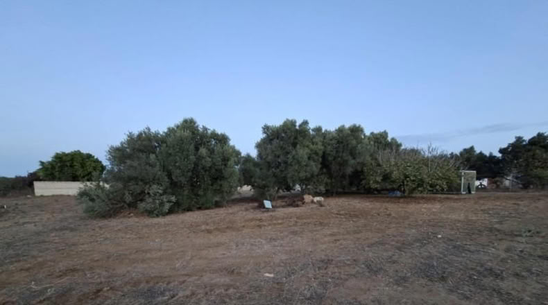 Cádiz - Chiclana de la Frontera - 1700m2