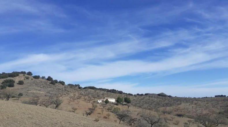 Almería - Vélez-Rubio - 41801m2
