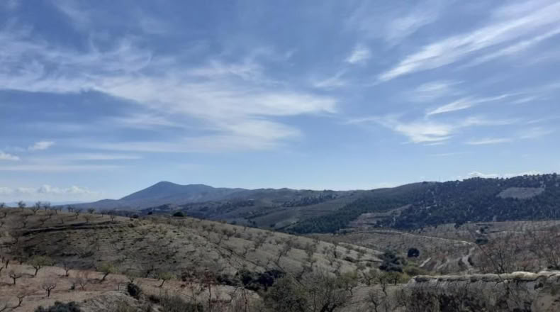 Almería - Vélez-Rubio - 41801m2