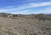 Terreny no urbanitzable en venda a la España, Vélez-Rubio, ref.: TR309637 foto