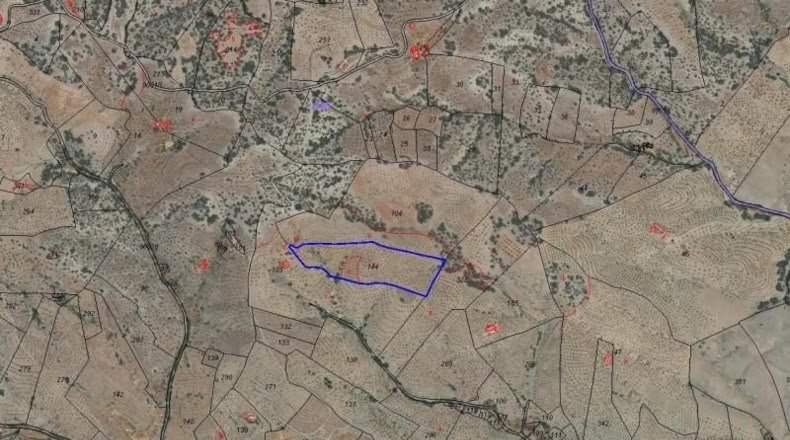 Almería - Vélez-Rubio - 41801m2