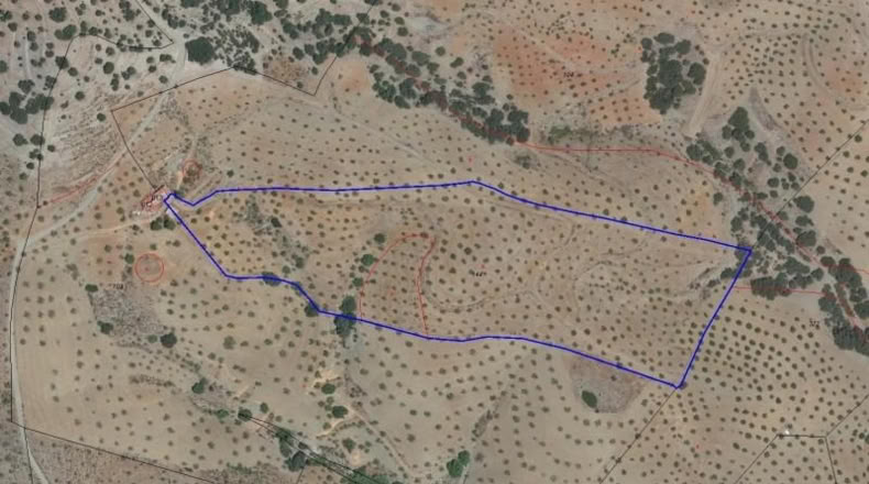Almería - Vélez-Rubio - 41801m2