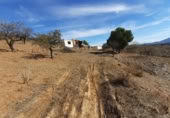 Terreny no urbanitzable en venda a la España, Vélez-Rubio, ref.: TR309637 foto