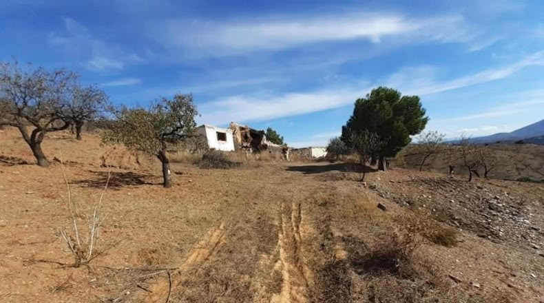 Almería - Vélez-Rubio - 41801m2
