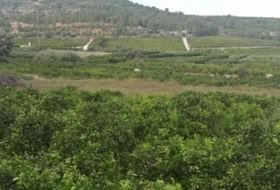 Foto 8