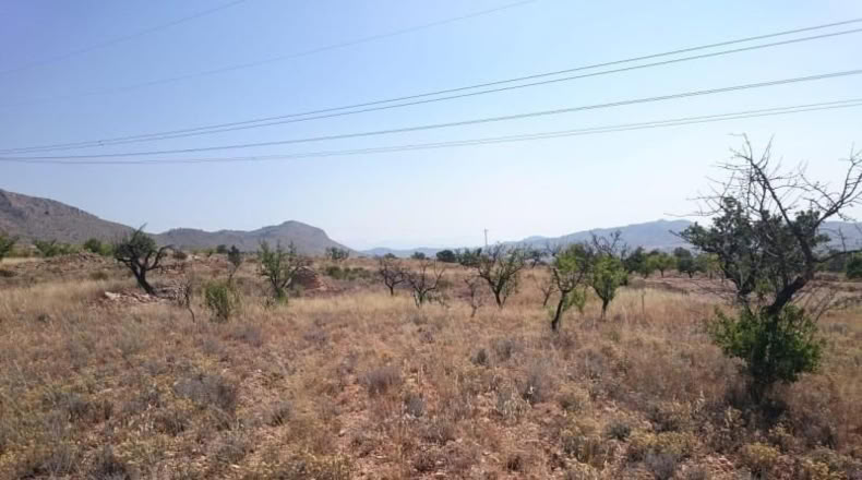 Alicante - Hondón de las Nieves - 10000m2