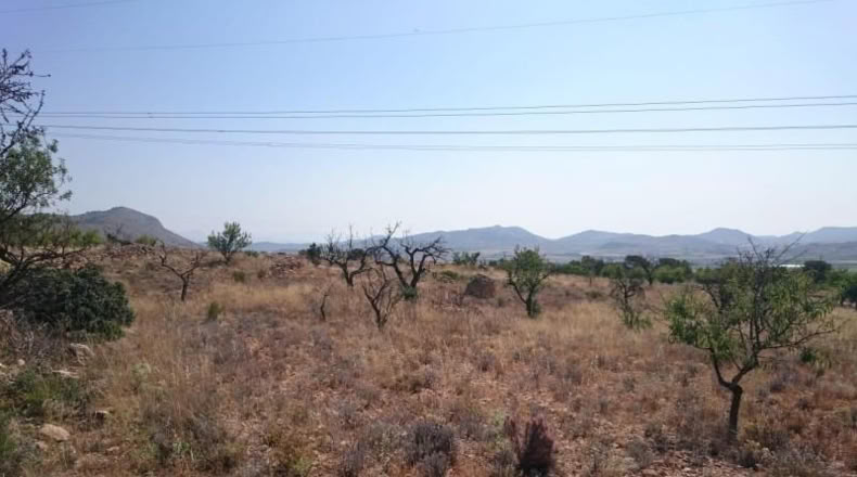 Alicante - Hondón de las Nieves - 10000m2