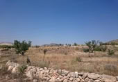Parcel·la urbanitzable en venda a la España, el Fondó de les Neus, ref.: TR130311 foto